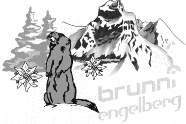 Logo Brunni Freunde